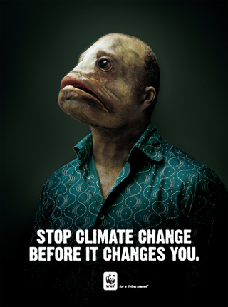 Illustration for article titled 10 Climate Change Pictures We Really Don't Need to See Again